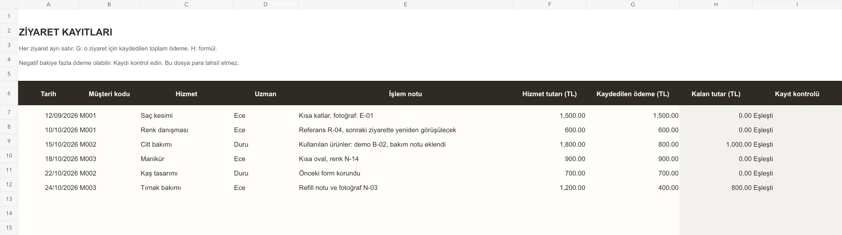 Excel ziyaret sayfasında kurgusal hizmetler, farklı ödeme tutarları ve hesaplanan bakiyeler.