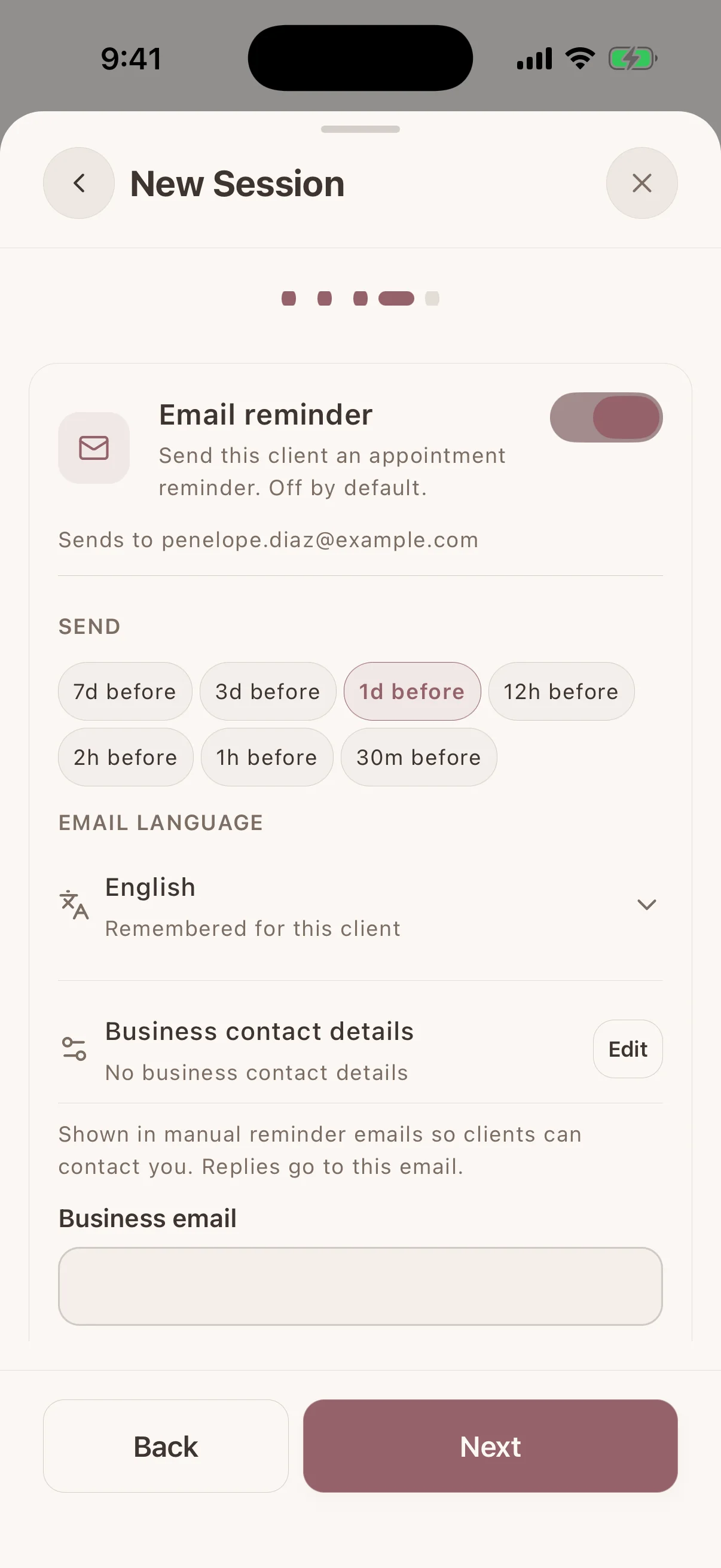 Manual appointment reminder timing and email language settings in Glamorph