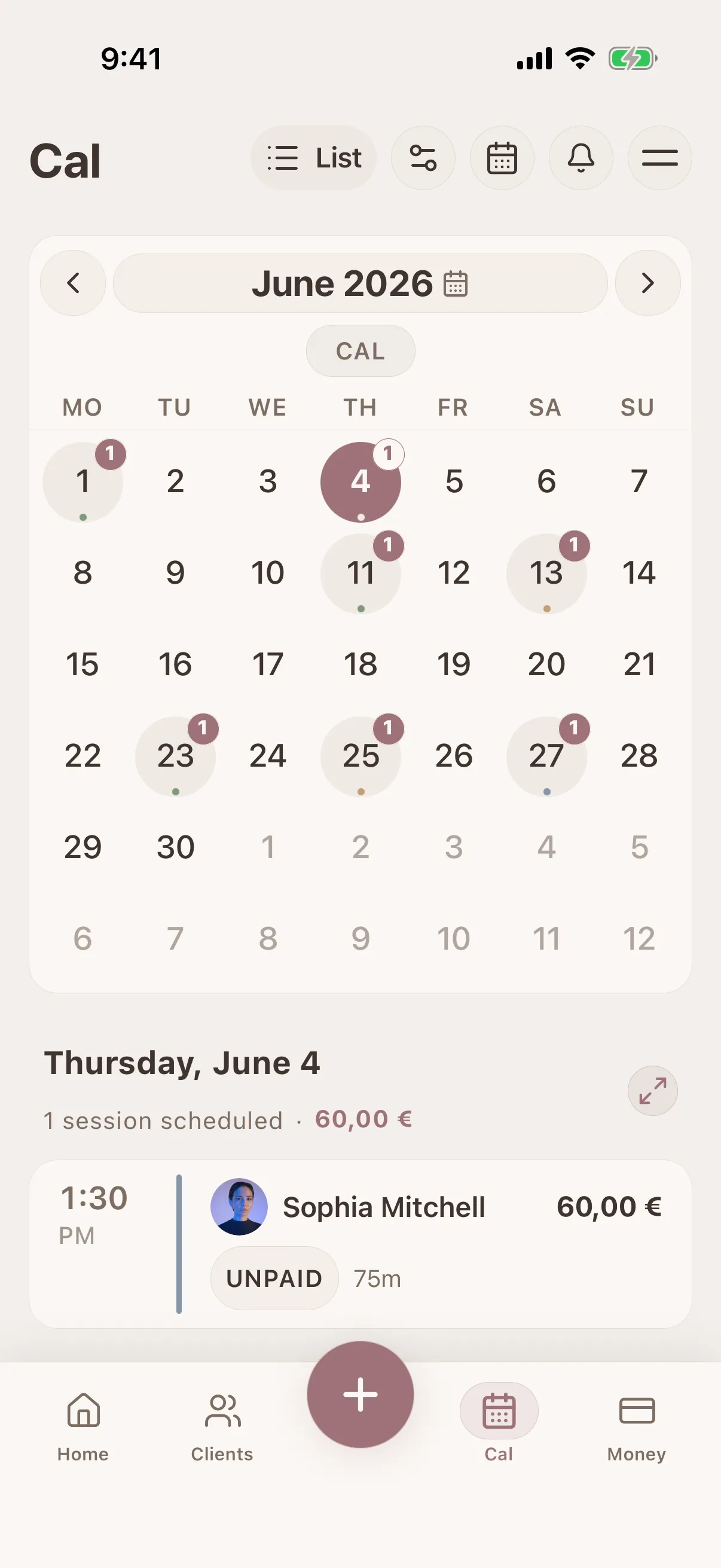 Glamorph appointment calendar for beauty professionals on iPhone