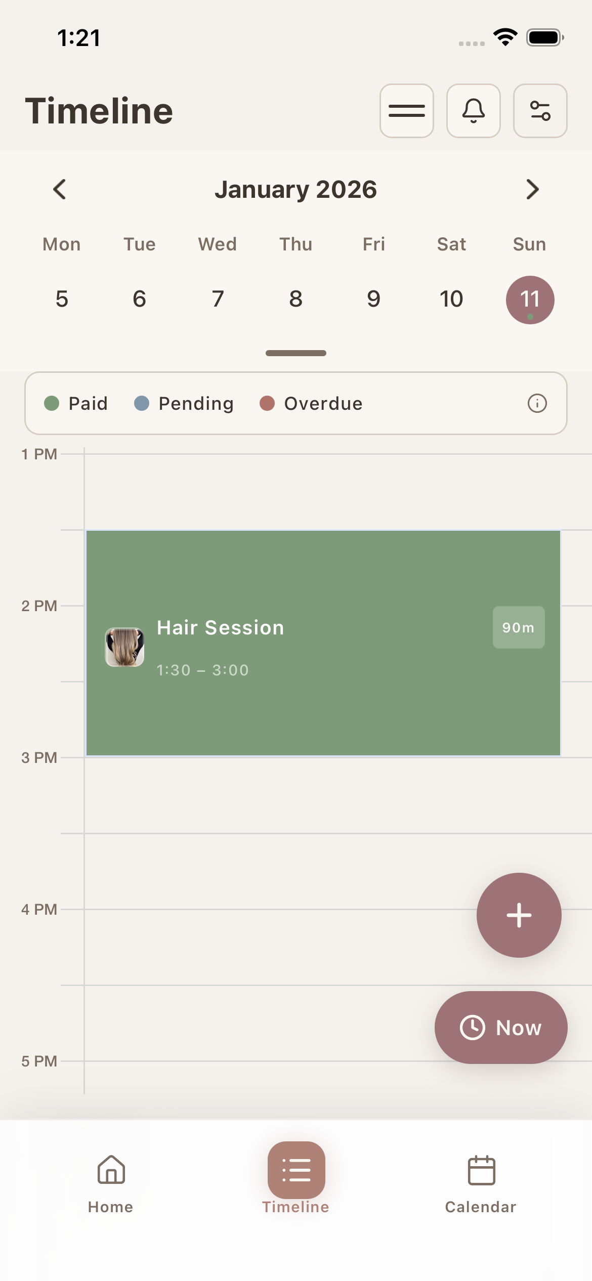 Visual timeline showing appointments
