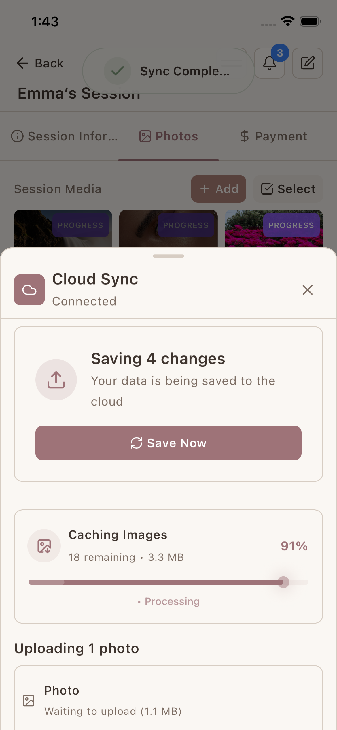 Offline-first with cloud backup
