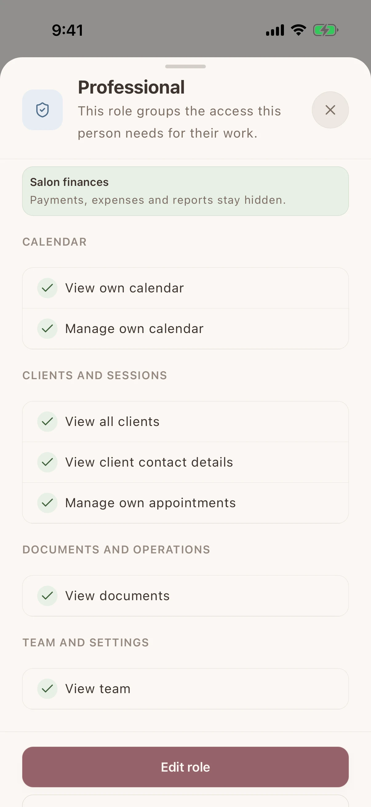 Professional role in Glamorph showing salon payments, expenses, and reports are hidden
